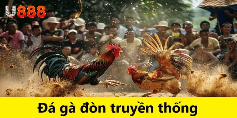 Đá gà đòn là hình thức thi đấu truyền thống được yêu thích